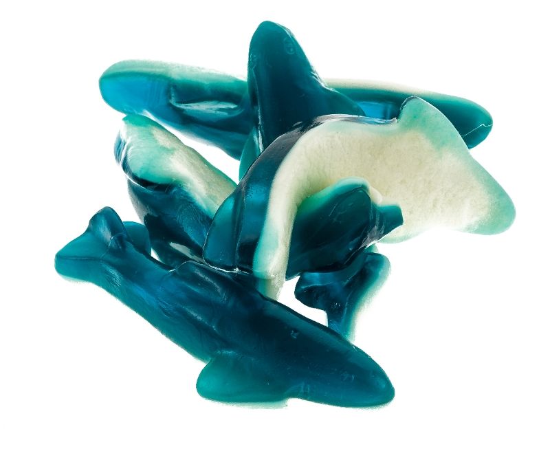 Large Gummy Killer Sharks 4oz